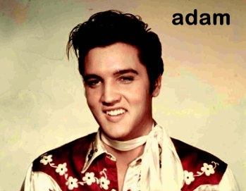 i just have to be funcharmingnice to be with him rod stewart stewart rod steward on elvis presley wedding songs